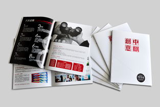 企业画册设计,广告公司画册,企业宣传册,创意画册,广告公司网站设计